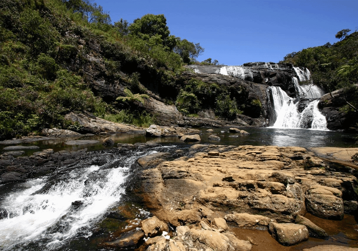 Horton Plains National Park - 195.7.4.97