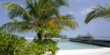 Anantara Veli Maldives Resort - 195.7.4.97