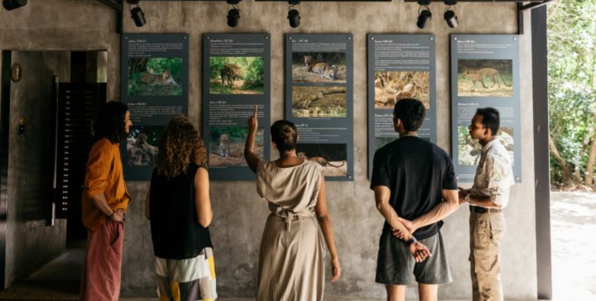 Chaaya Wild Yala Maldives - 195.7.4.97