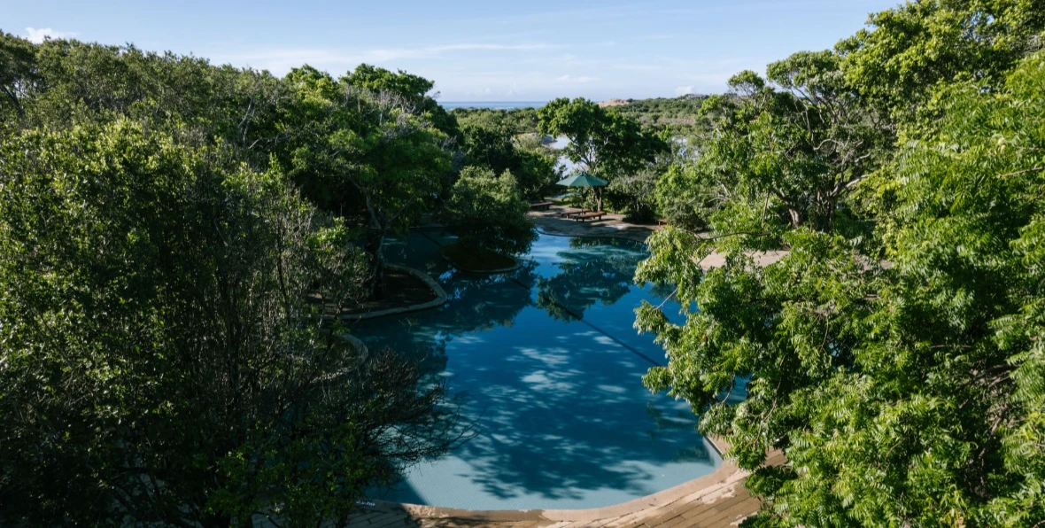 Chaaya Wild Yala Maldives - 195.7.4.97