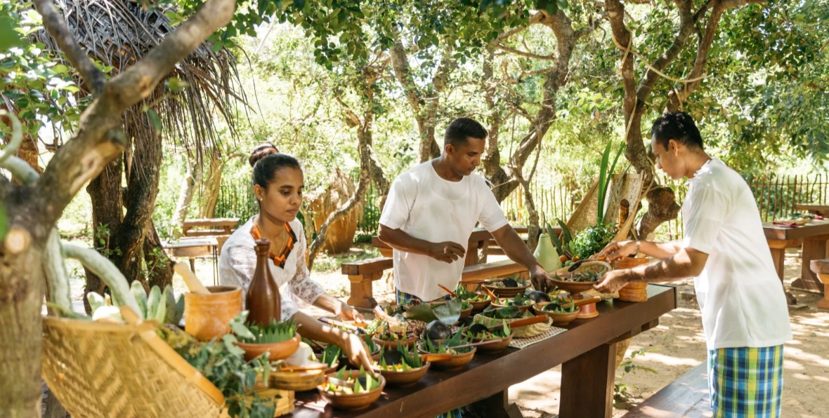 Chaaya Wild Yala Maldives - 195.7.4.97