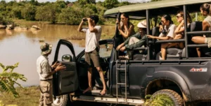 Chaaya Wild Yala Maldives - 195.7.4.97