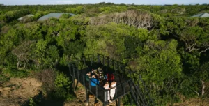 Chaaya Wild Yala Maldives - 195.7.4.97