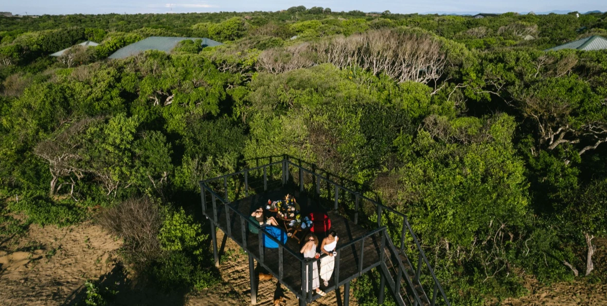Chaaya Wild Yala Maldives - 195.7.4.97