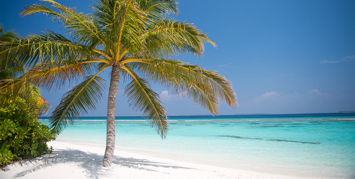 Coco Palm Dhuni Kolhu Maldives Resort - 195.7.4.97