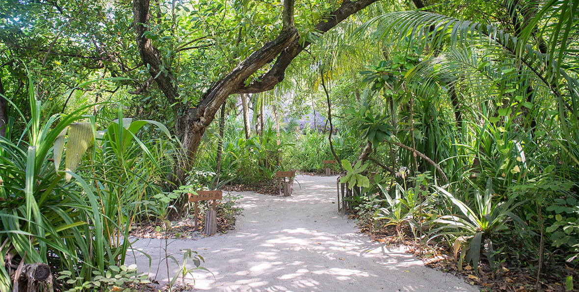 Coco Palm Dhuni Kolhu Maldives Resort - 195.7.4.97
