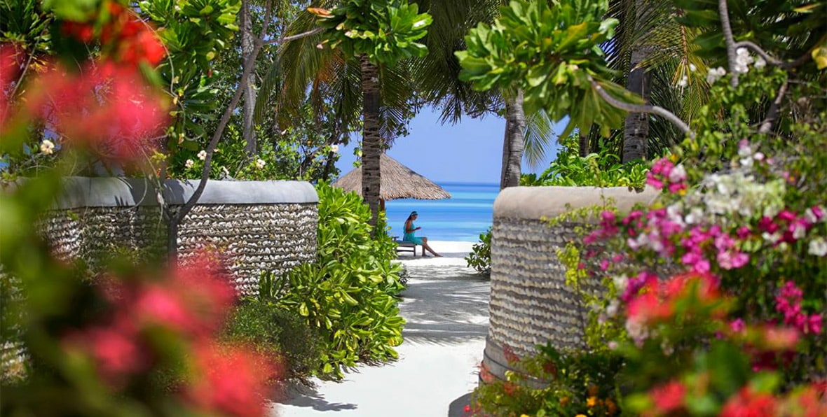 Cq Dam Web - 195.7.4.97