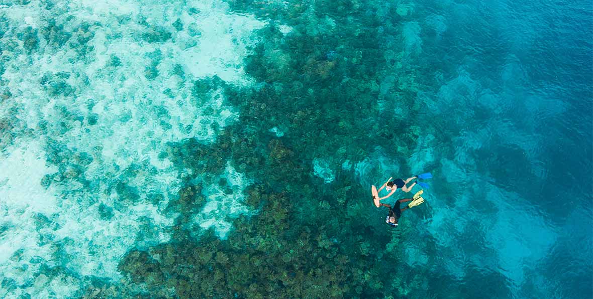 Eriyadu Island Resort Maldives - 195.7.4.97