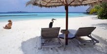 Gangehi Maldives Islands Resorti S A - 195.7.4.97