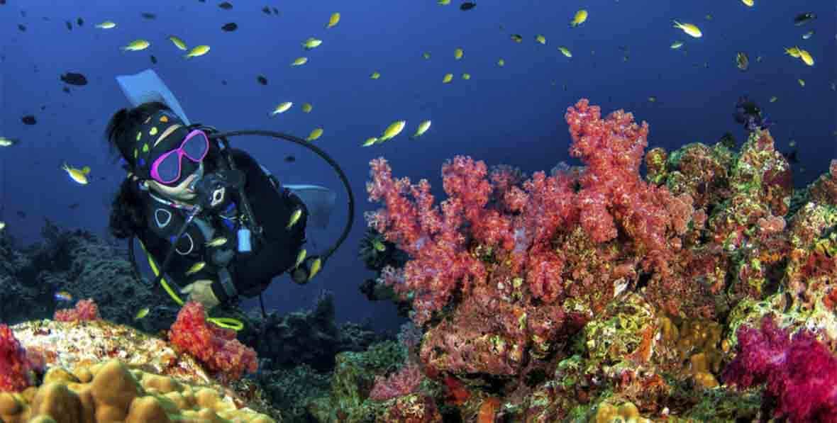 Viajes a Maldivas buceo