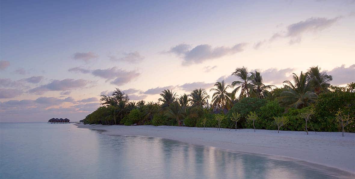 Lux South Ari Maldives - 195.7.4.97