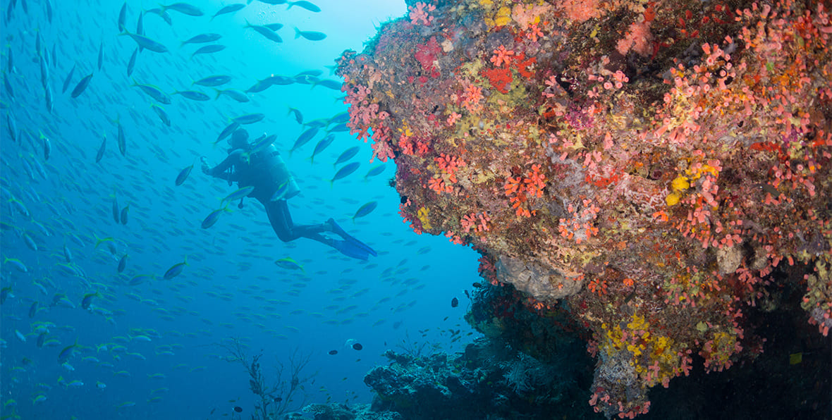 Milaidhoo Island Maldives Resort - 195.7.4.97