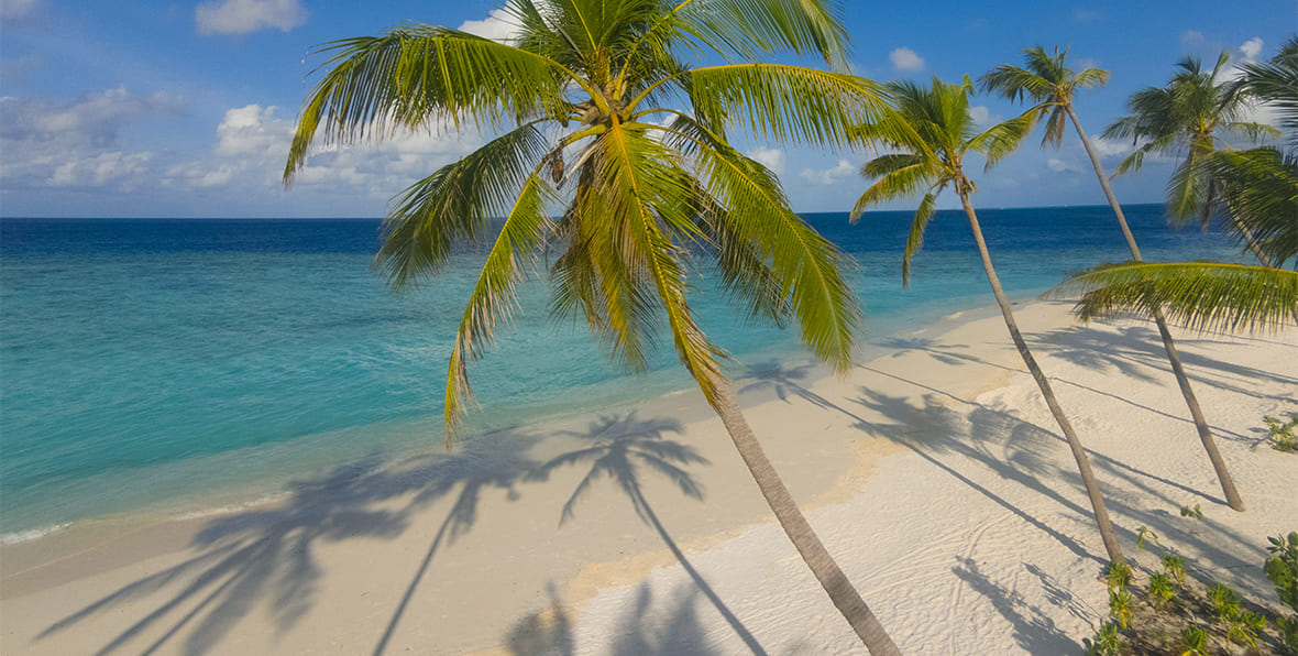 Milaidhoo Island Maldives Resort - 195.7.4.97