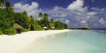 Mirihi Island Resort Maldives - 195.7.4.97