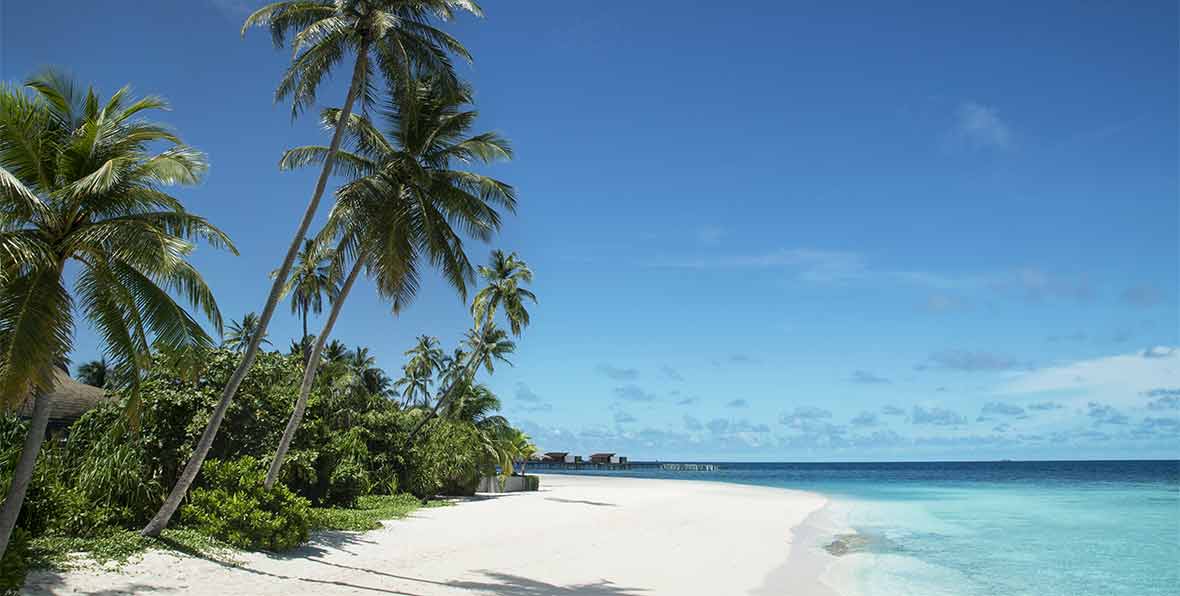 Park Hyatt Maldives Hadahaa - 195.7.4.97