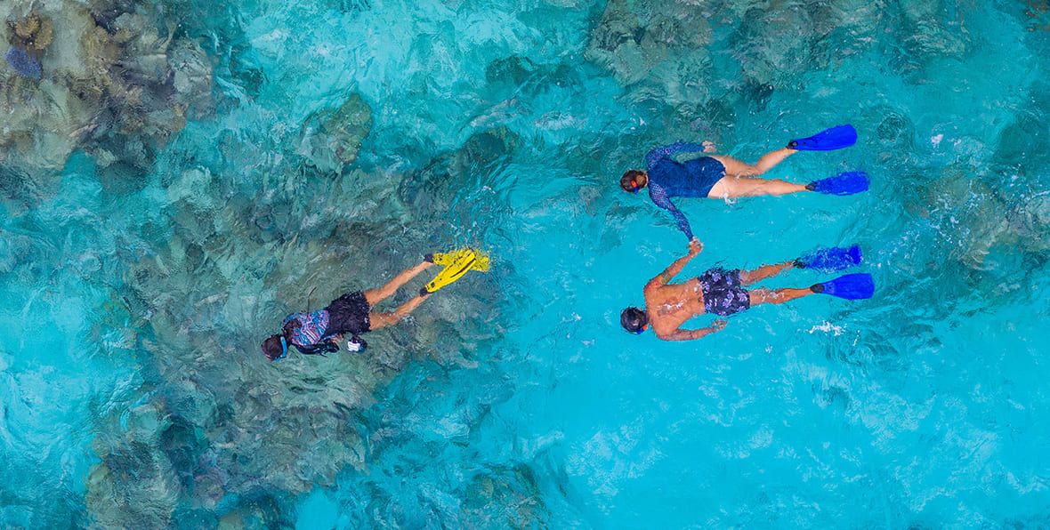 Raffles Maldives Meradhoo Resort Snorkeling - 195.7.4.97