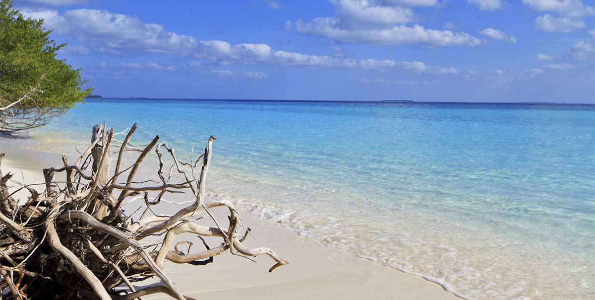 Soneva Fushi Maldives Resort - 195.7.4.97