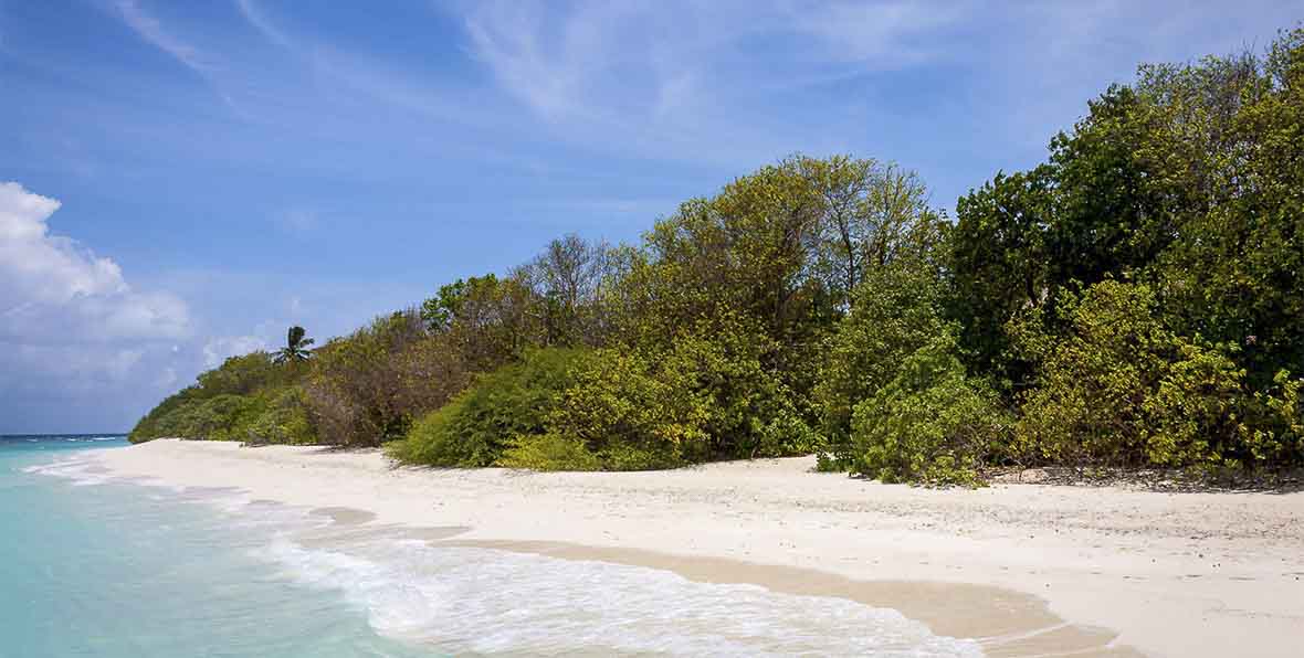 Soneva Fushi Maldives Resort - 195.7.4.97