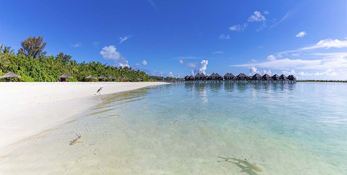 Sun Siyam Olhuveli Resort Maldives - 195.7.4.97