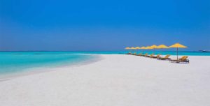 Dhigufaru Island Resort Maldives - 195.7.4.97