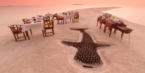 Dhigufaru Island Resort Maldives - 195.7.4.97