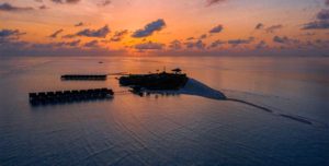 Dhigufaru Island Resort Maldives - 195.7.4.97