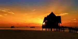 Dhigufaru Island Resort Maldives - 195.7.4.97