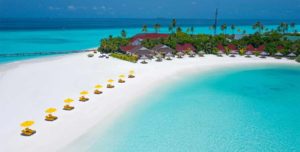 Dhigufaru Island Resort Maldives - 195.7.4.97