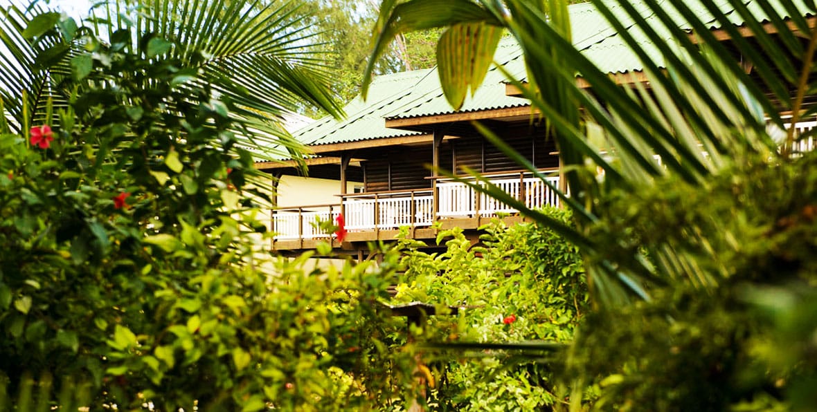 F Bcf Dd Mod Edit Copy - 195.7.4.97