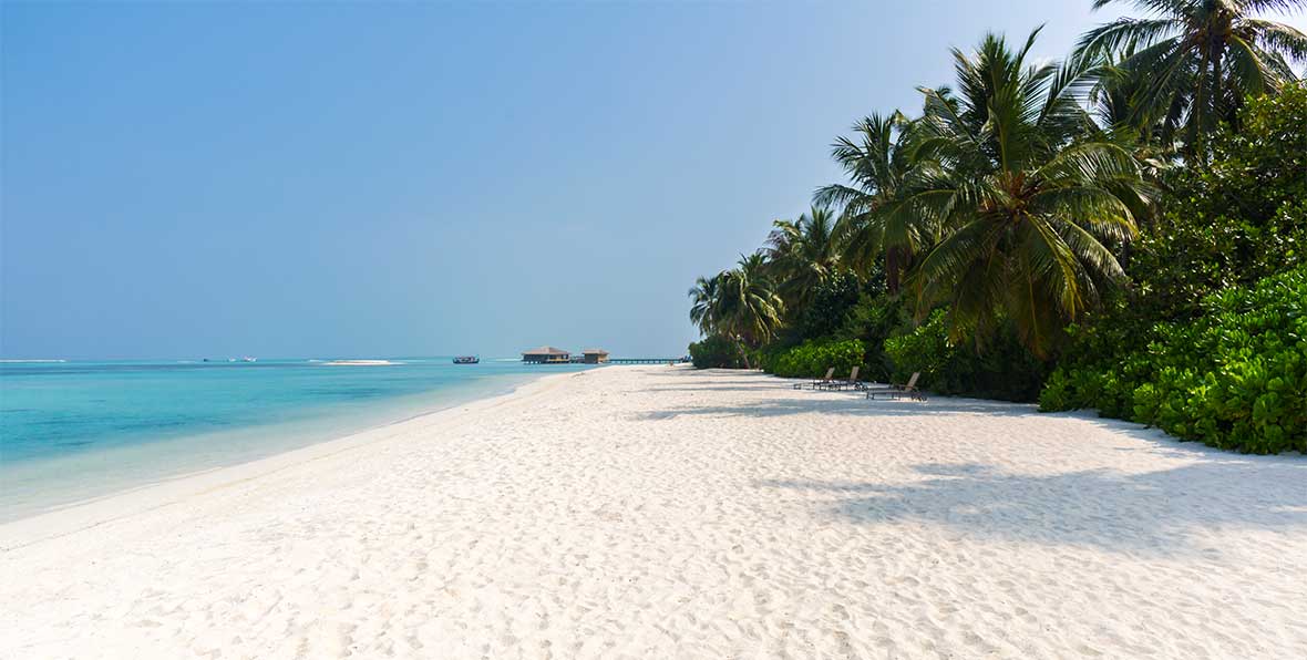 Cocoon Maldives Beach - 195.7.4.97