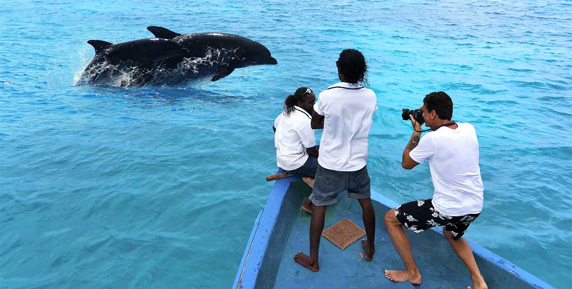 Cocoon Maldives Maldive Dsc - 195.7.4.97