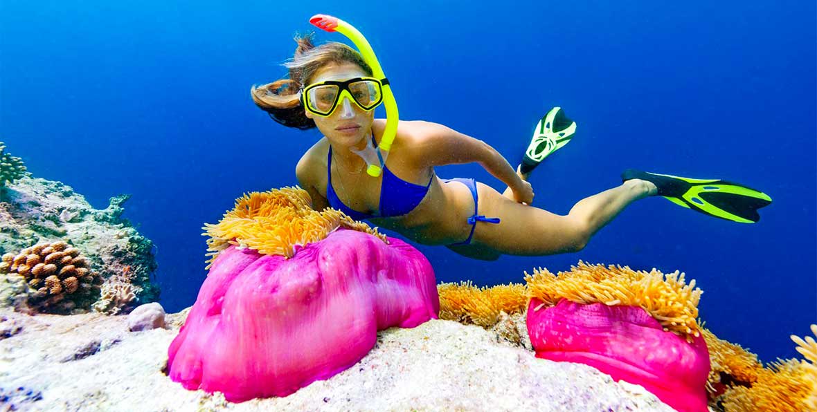 Cocoon Maldives Snorkeling - 195.7.4.97