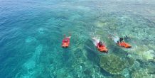Cocoon Maldives Activities - 195.7.4.97