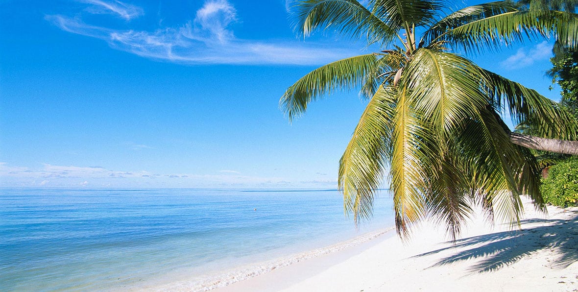 Cocoon Restaurantsgrill Restaurant Cocoon - 195.7.4.97