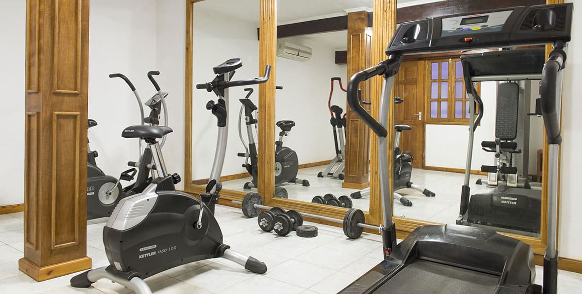 Acajou Gym Courtesy Marsha Dine - 195.7.4.97