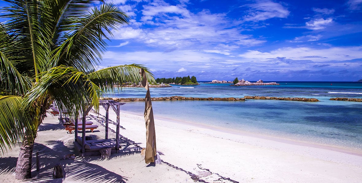 Orangeraie Img - 195.7.4.97