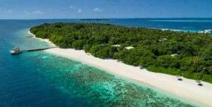 Amilla Maldives Resort - 195.7.4.97 - Amilla Maldives Resort & Residences