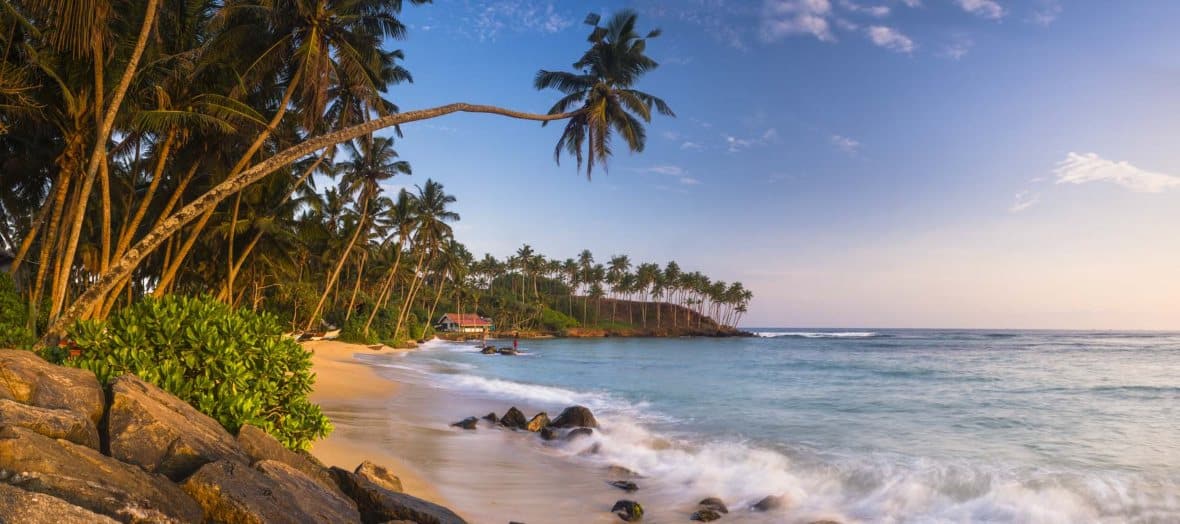 Mirissa Beach Sri Lanka - 195.7.4.97