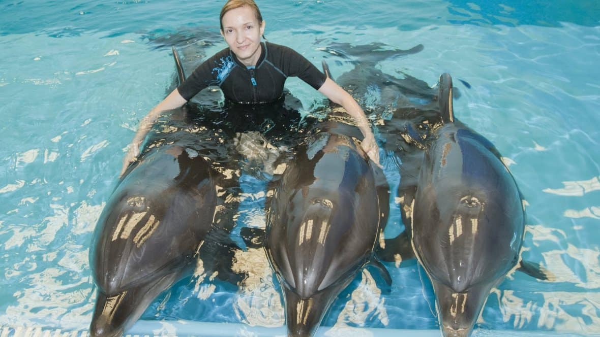 Delfinario Dubai - 195.7.4.97