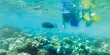H Outrigger Konotta Maldives Resort Snorkeling - 195.7.4.97