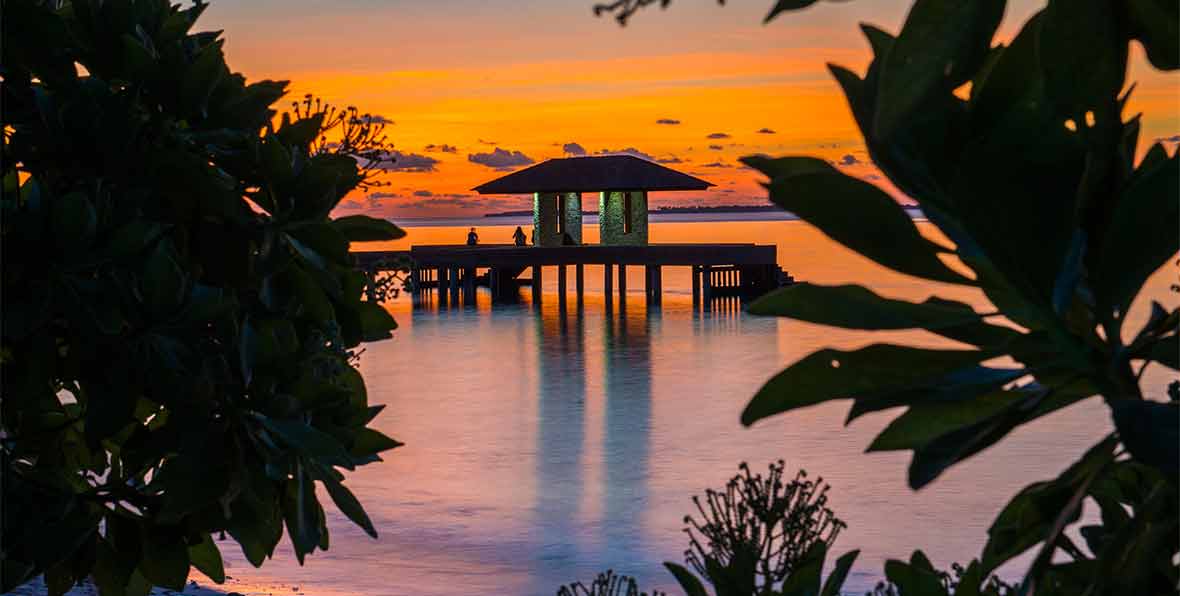 Jetty X - 195.7.4.97