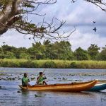 Hiriwadunna Sri Lanka - 195.7.4.97