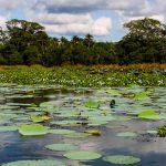 Hiriwadunna Sri Lanka - 195.7.4.97