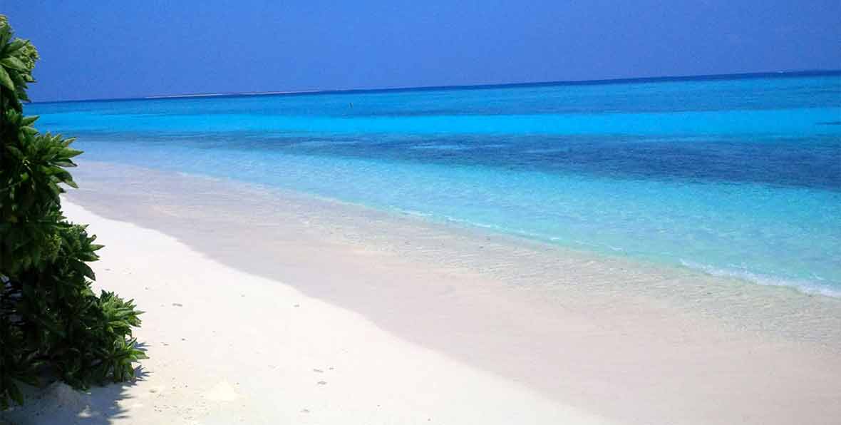 Hotel Maldives Eco Conservation Center - 195.7.4.97