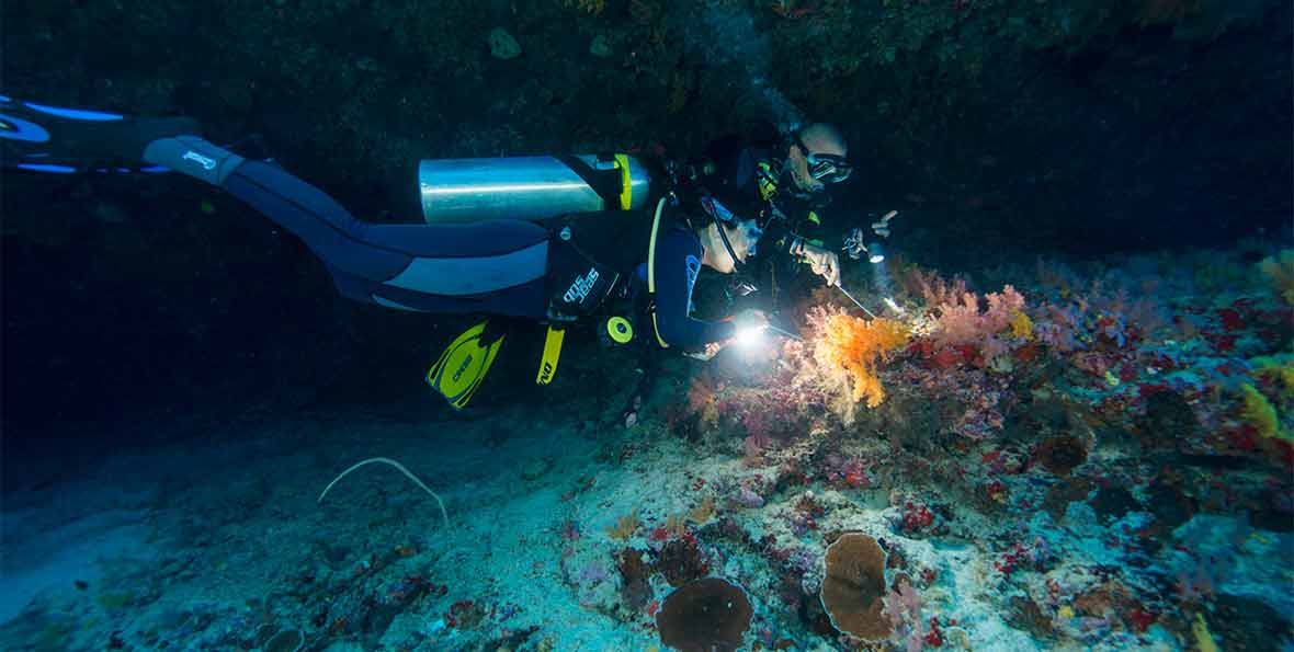 Maldives The Barefoot - 195.7.4.97