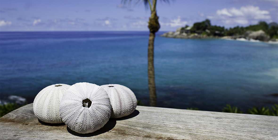 Carana Beach Hotel Seychelles - 195.7.4.97