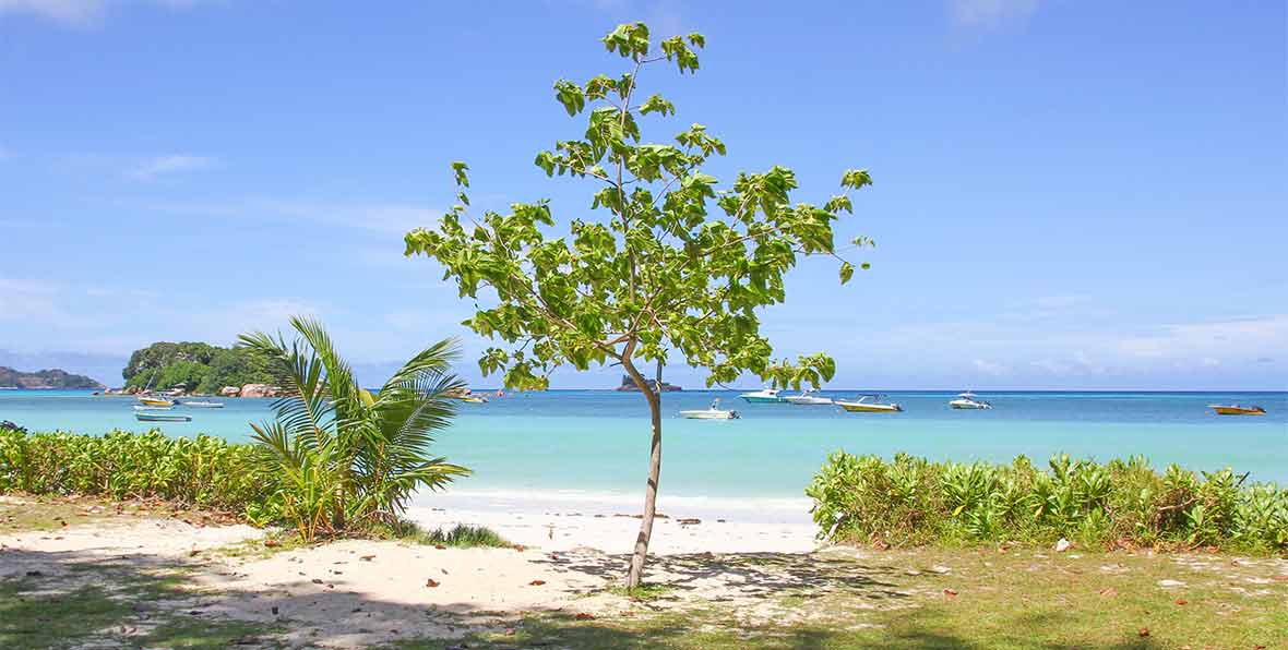 Pirogue Lodge Hotel Seychelles - 195.7.4.97