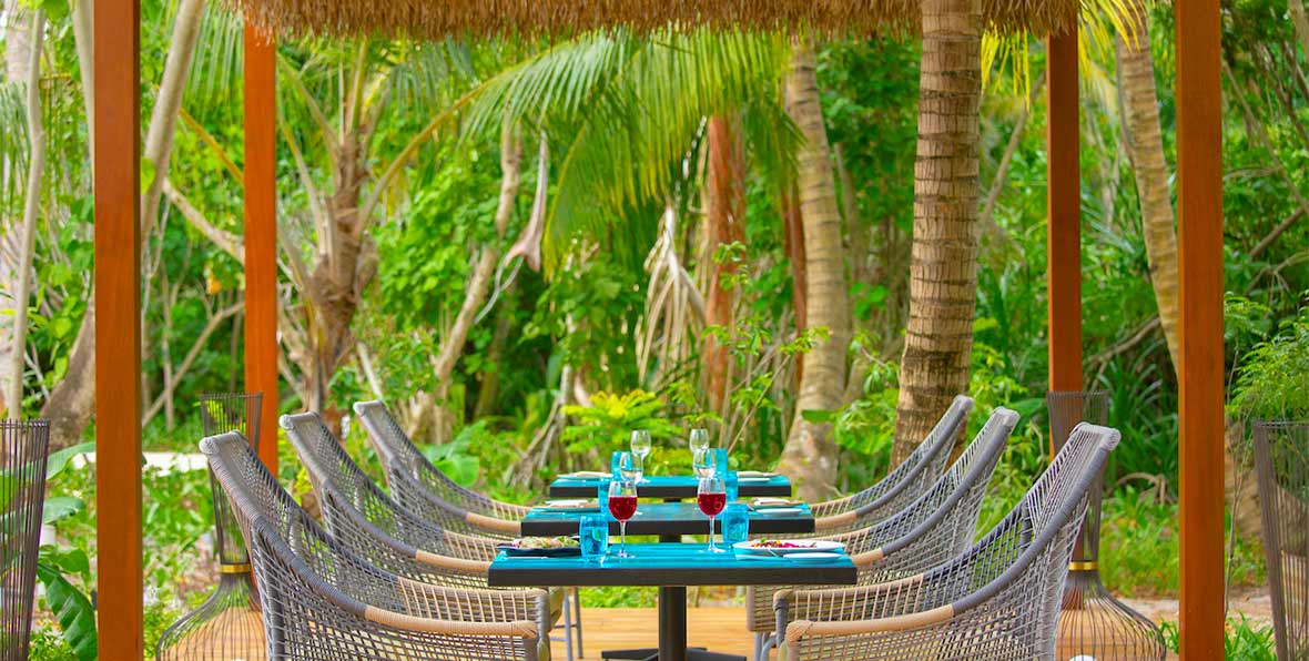 Pullman Maldives Maamutaa Phat Chameleon - 195.7.4.97