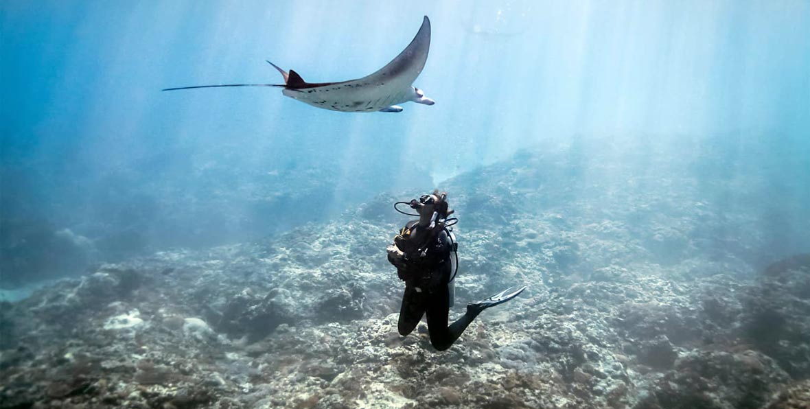 Fours Season Bora Bora Diving - 195.7.4.97