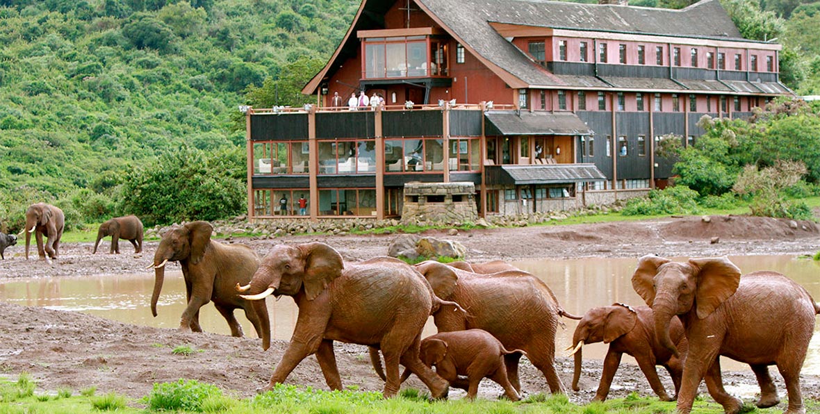 The Ark Lodge Aberdare National Park Kenia - 195.7.4.97